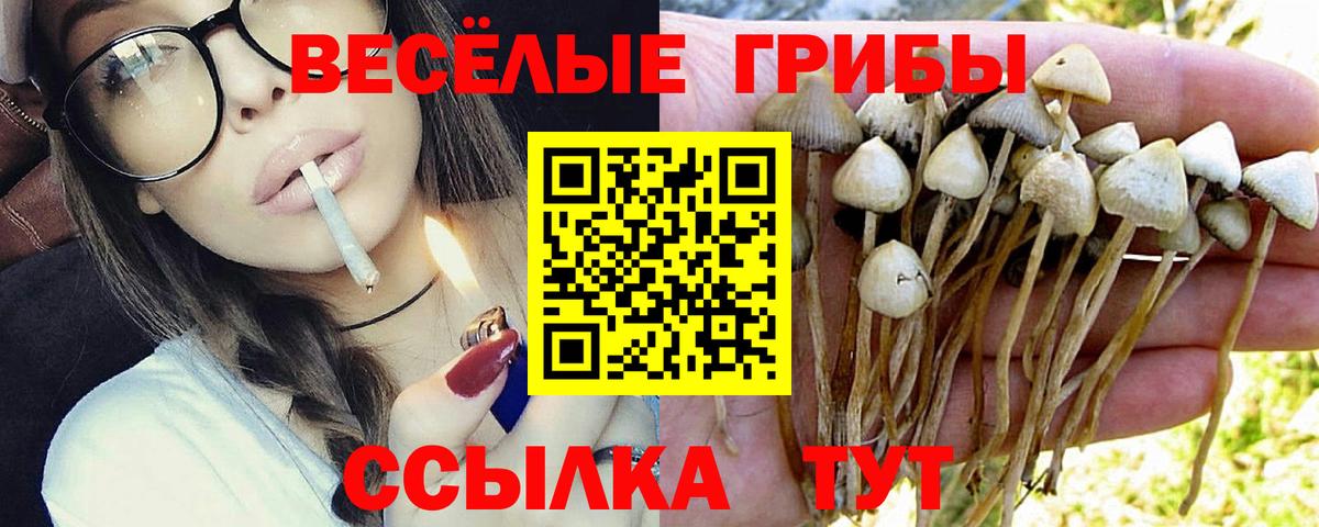 Галлюциногенные грибы Psilocybine cubensis  Вход с VPN  где купить наркотик  Комсомольск-на-Амуре 