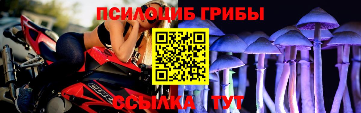 Галлюциногенные грибы мухоморы Комсомольск-на-Амуре